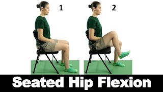 Hip External Rotators  The Deep Gluteal Muscles [upl. by Hollis787]