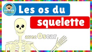 Les os du squelette [upl. by Fusuy]