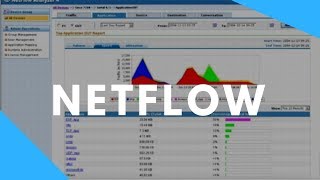 Netflow  Monitoring Your Network Traffic [upl. by Nellahs]