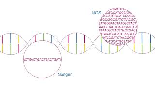 NGS Data Analysis 101 RNASeq WGS and more  ResearchersAtWork Webinar Series [upl. by Elrahc740]