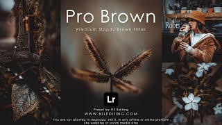 How to Edit Professional Photography  Lightroom Dark Brown Presets DNG amp XMP Free Download [upl. by Mccandless]