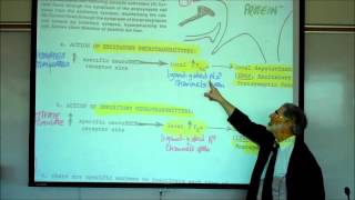 SYNAPTIC TRANSMISSION IN THE CNS PART 1 by Professor Fink [upl. by Oren822]