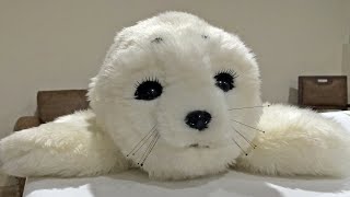 Paro the robotic seal [upl. by Ydisahc]