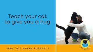 Teach Your Cat To Hug With Clicker Training [upl. by Milt459]