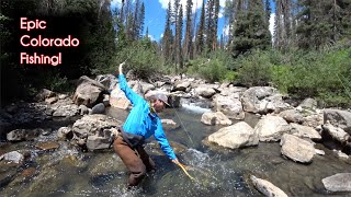 The TOP 10 fishing spots in Colorado  McFly Angler Fly Fishing [upl. by Benedix]