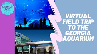 Georgia Aquarium Virtual Field TripTour [upl. by Cinemod]