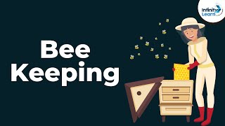 Bee Keeping  Animal Husbandry  Dont Memorise [upl. by Rubliw]