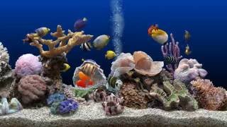 ★ Marine Aquarium ★ UHD Screensaver ★ Blue Ocean ★ 60fps ★ [upl. by Kathrine]