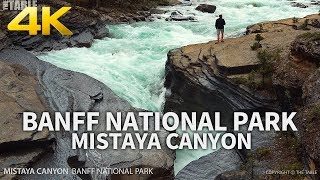 BANFF NATIONAL PARK  Mistaya Canyon Alberta CANADA Travel 4K UHD [upl. by Penelopa6]