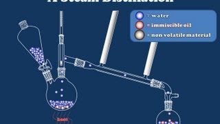 How Steam Distillation Works [upl. by Ihsakat]