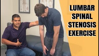 Lumbar Spinal Stenosis Exercise Routine [upl. by Yrevi]