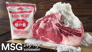 Insane UMAMI Dry Age Experiment  Guga Foods [upl. by Novehc]