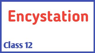 Encystation [upl. by Geordie497]