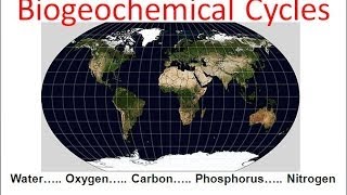 Biogeochemical Cycles honors biology updated [upl. by Ahsiemac]