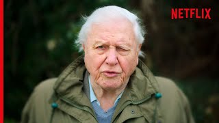 Sir David Attenborough On The Devastating Truth About Coral Reefs [upl. by Eilama]