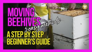 Moving Beehives the right way 5 Easy Methods [upl. by Heidt538]