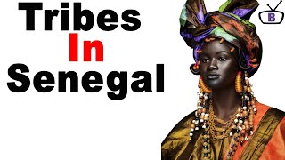 Major ethnic groups in Senegal and their peculiarities [upl. by Pauiie208]