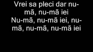 O Zone  Dragostea Din Tei W Phonetic Lyrics [upl. by Yorgo]