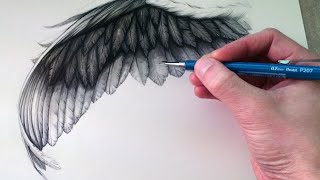 How to Draw a Wing [upl. by Barbabas964]