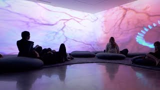 Pipilotti Rist Sip my Ocean  Museum of Contemporary Art Australia Sydney [upl. by Sokem549]