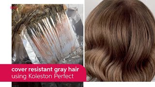 How to Cover Resistant Gray Hair Using Koleston Perfect  Wella Professionals [upl. by Crim]