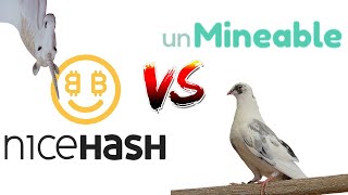 CPU Mining Nicehash vs Unmineable [upl. by Eytteb]