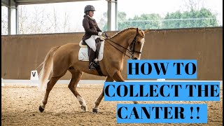 HOW TO COLLECT YOUR CANTER [upl. by Ainna]