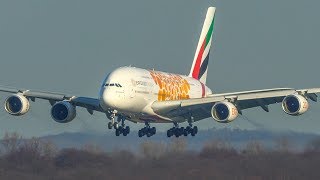 AIRBUS A380 CROSSWIND LANDING  A380 Landing with Orange Dots 4K [upl. by Smukler]