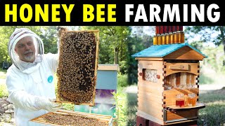 How to start Honey Bee Farming at Home for beginners  Beekeeping  Honey Farming  Apiculture [upl. by Hump927]