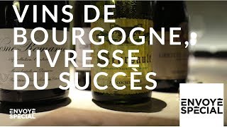 Envoyé spécial Vins de Bourgogne livresse du succès  18 octobre 2018 France 2 [upl. by Alohs32]