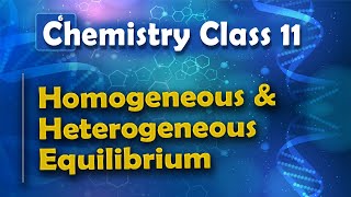 Homogeneous and Heterogeneous Equilibrium  Chemical Equilibrium  Chemistry Class 11 [upl. by Rozek]