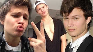 7 Times Ansel Elgort Made the Internet SWOON [upl. by Notak]