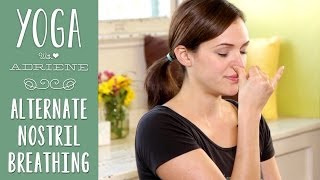 Yoga Breathing  Alternate Nostril Breathing [upl. by Tony]