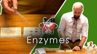 Enzymes  GCSE Science Required Practical [upl. by Aidyn79]