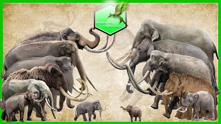 Elephants and Mammoths Size Comparison LİVİNG EXTİNCT [upl. by Kelbee]