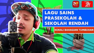 SP 612  Sains Prasekolah amp Tahun 1  Kenali Bahagian Tumbuhan Lagu [upl. by Aratas]