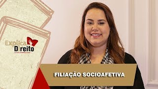 Explica Direito Filiação Socioafetiva  2019 [upl. by Gaylene]