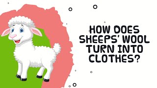 How Does Sheep Wool Turn Into Clothes  Interesting Facts About Sheep [upl. by Inverson]