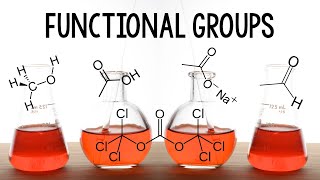 Intro to Functional Groups [upl. by Coppola]