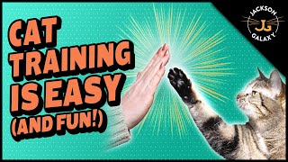 Clicker Training Your Cat is Easy and Fun [upl. by Linkoski]