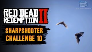 Red Dead Redemption 2 Sharpshooter Challenge 10 Guide  Kill 3 birds with 3 long scoped rifle shots [upl. by Nesral364]