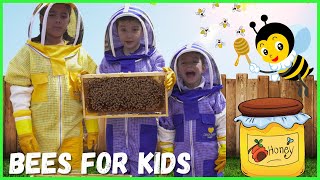 Learn About Bees for Kids  Pollination for Kids  Beekeeping for Kids [upl. by Ennaylime]