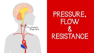 42 Cardiovascular Pressure Flow and Resistance [upl. by Vince]