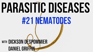 Parasitic Diseases Lectures 21 Nematodes [upl. by Marjana]