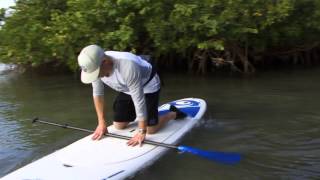 Stand Up Paddling  Getting Started [upl. by Ailene]