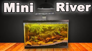 I Built a Mini River Ecosystem [upl. by Drummond]