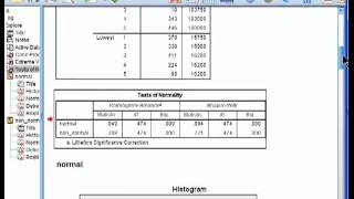 Testing Distributions for Normality  SPSS part 2 [upl. by Quartana]