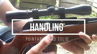 BSA Superten super carbine reviewBig Dans Air Guns [upl. by Assedo]