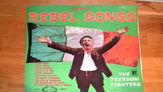 Irish Rebel Songs 🍀 The Freedom Fighters vlog [upl. by Odawa382]