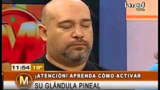 Aprenda a activar su glándula pineal [upl. by Ayikat625]